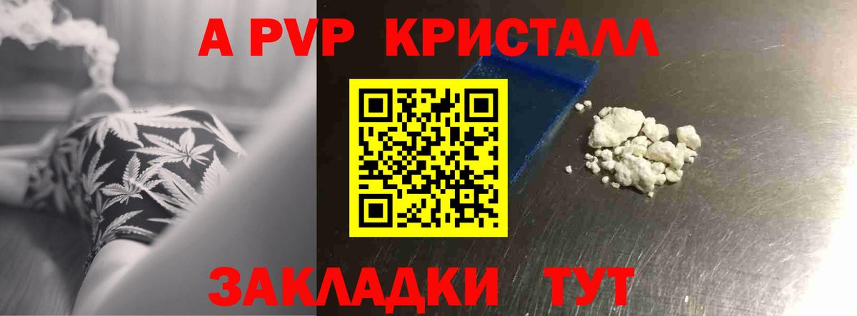 A-PVP СК КРИС Заводоуковск