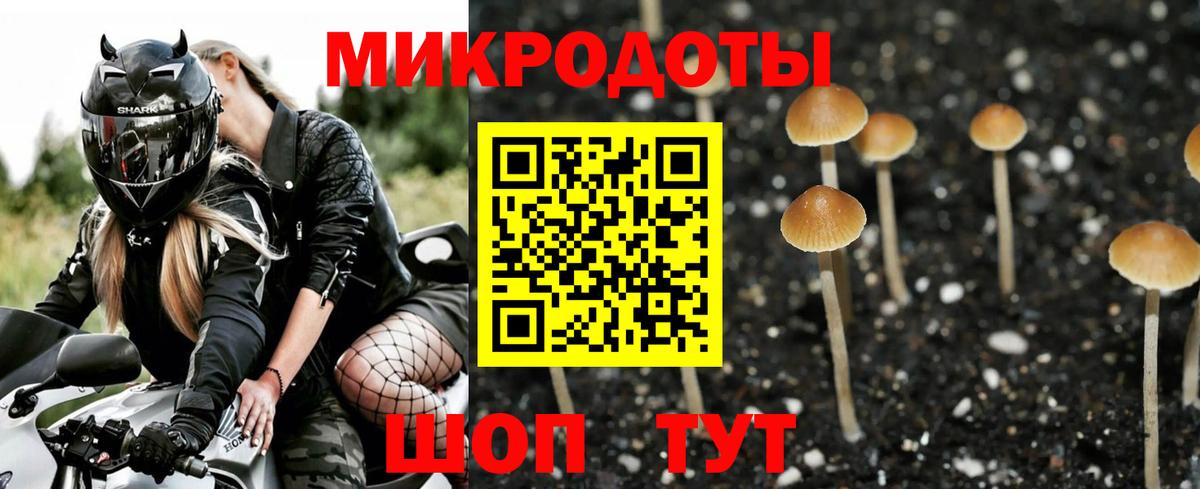 Галлюциногенные грибы мухоморы Заводоуковск